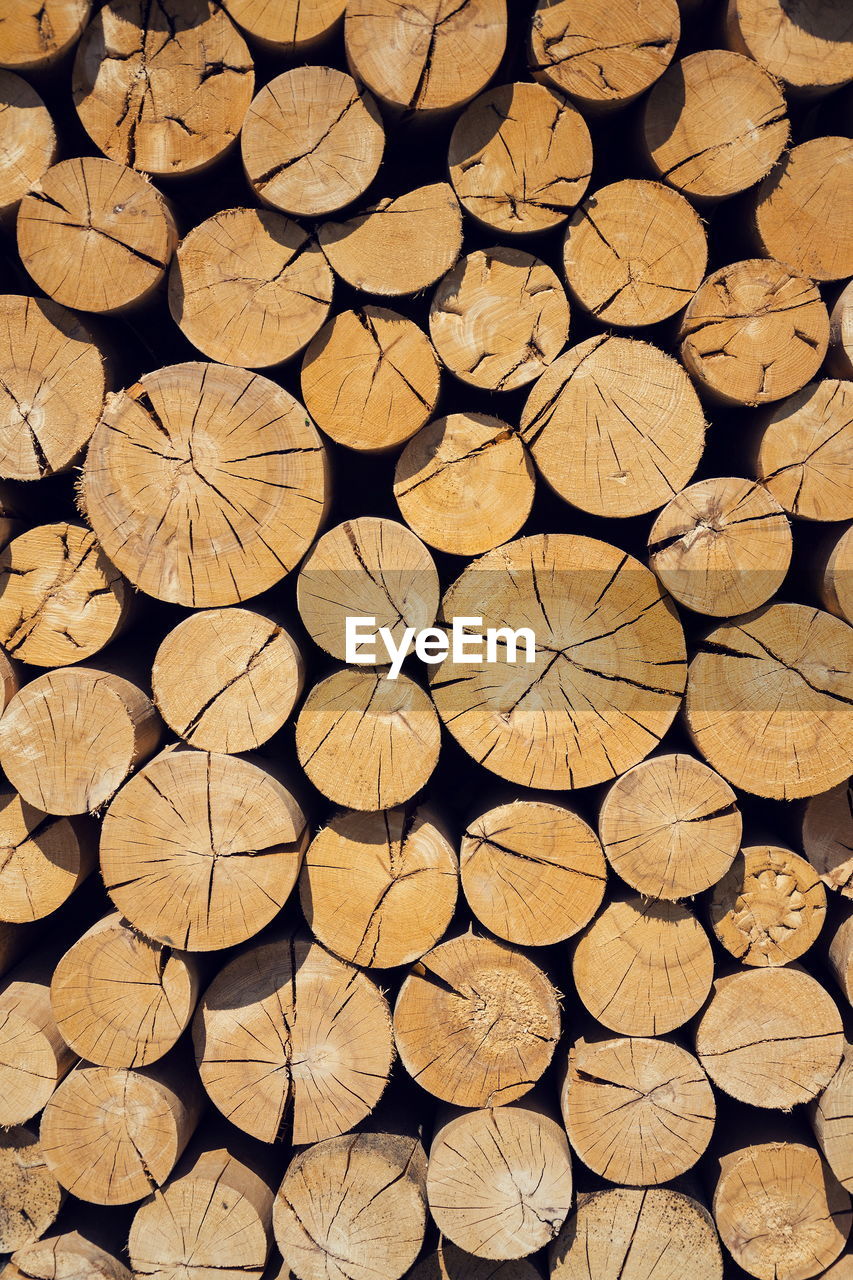 timber, large group of objects, backgrounds, full frame, wood, lumber industry, log, firewood, abundance, tree, forest, deforestation, pattern, circle, no people, power generation, environmental issues, shape, flooring, repetition, heap, geometric shape, textured, woodpile, arrangement, fossil fuel, brown, cross section, floor, close-up, soil, nature