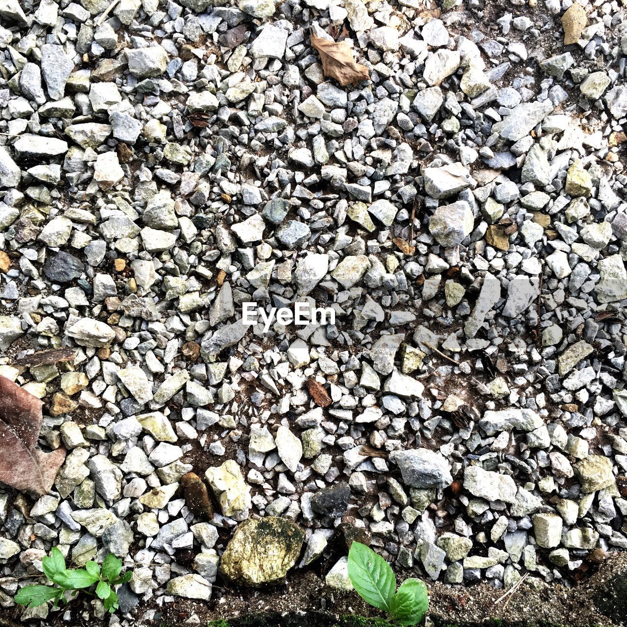 HIGH ANGLE VIEW OF STONES ON BEACH