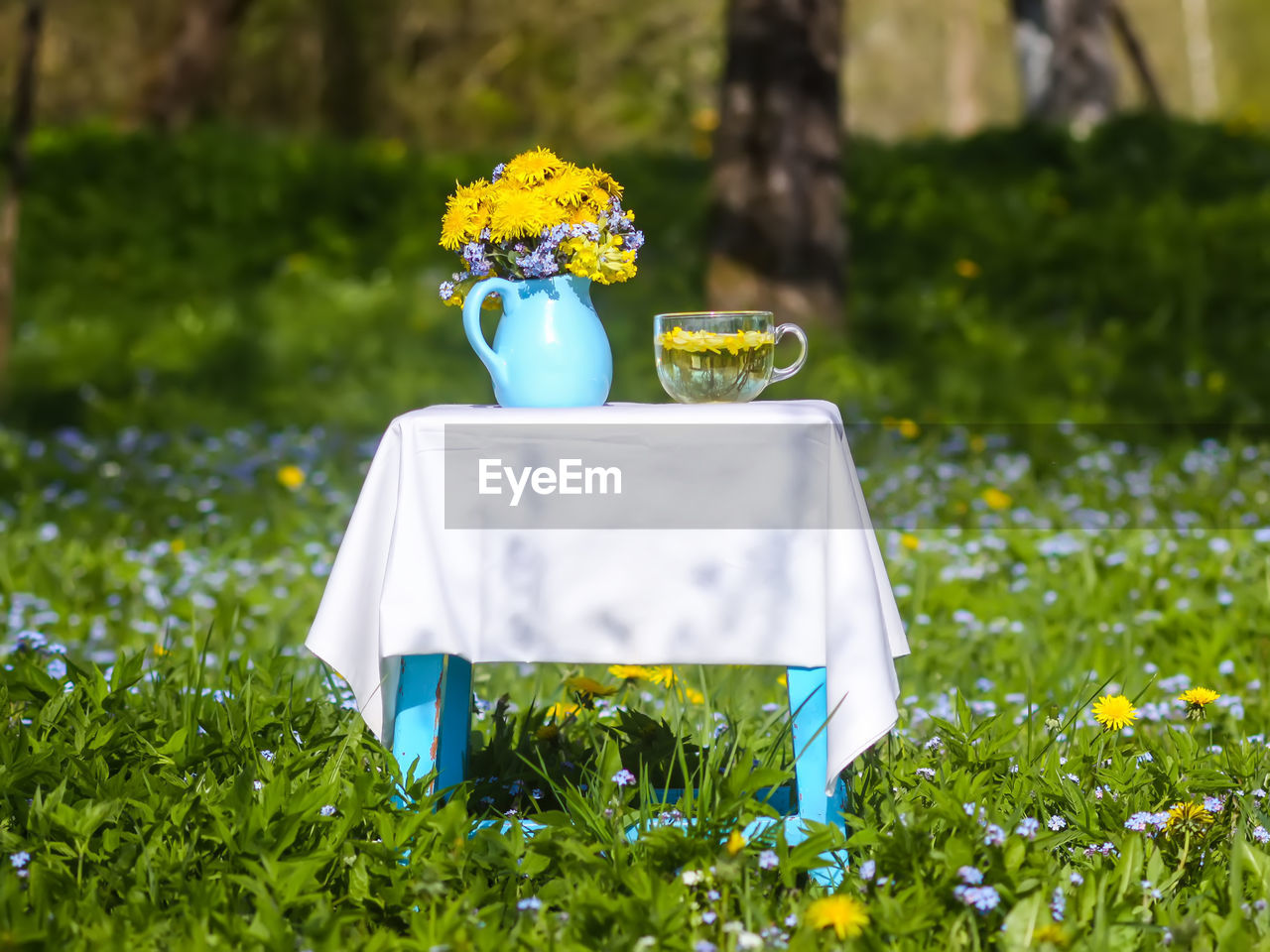 plant, yellow, flower, flowering plant, green, grass, nature, freshness, lawn, meadow, food and drink, no people, field, outdoors, day, summer, beauty in nature, plain, food, celebration, springtime, focus on foreground, sunlight, daffodil, land, selective focus, front or back yard