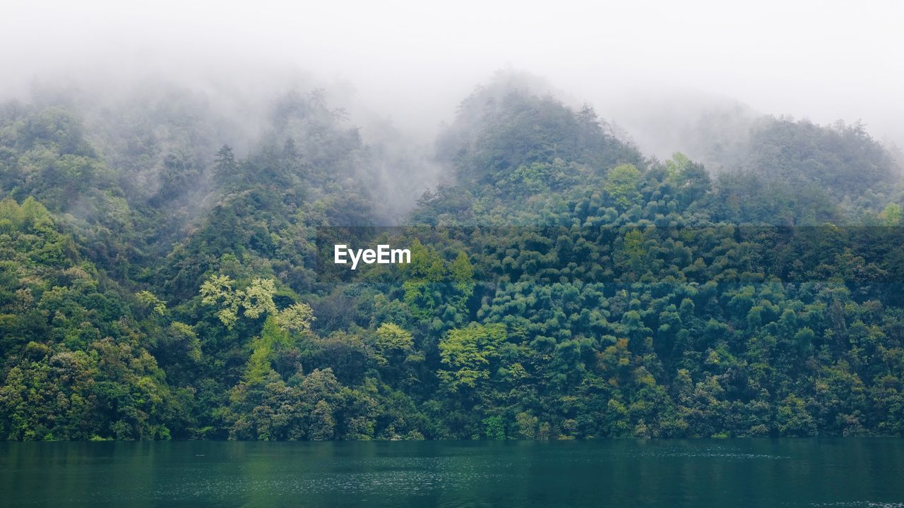 Scenic view of lake with trees in background