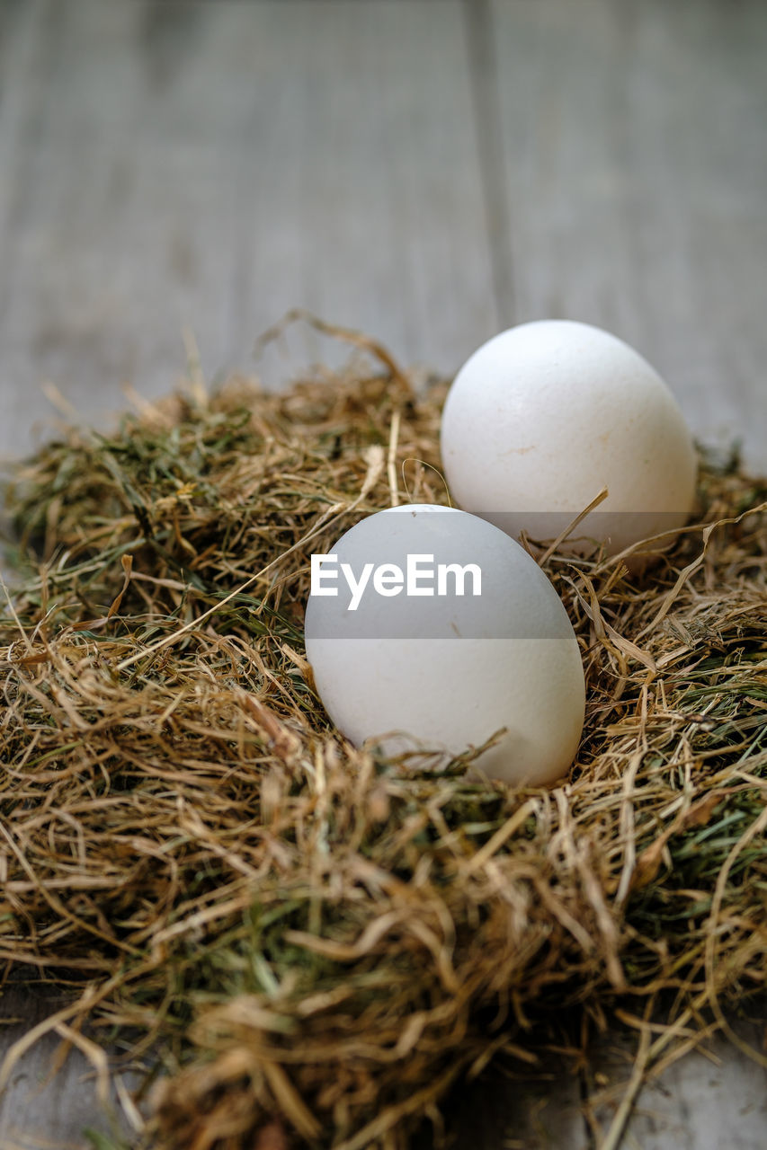 Two white chicken eggs lie in the hay on a blurry wooden background. selective focus. 