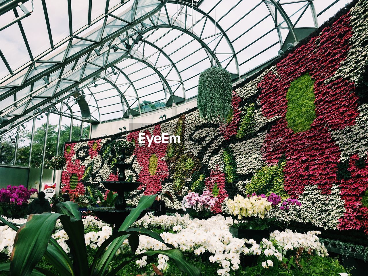 VIEW OF PLANTS IN GREENHOUSE