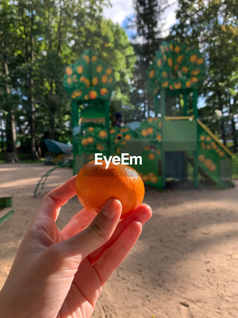 Close-up of hand holding mandarine