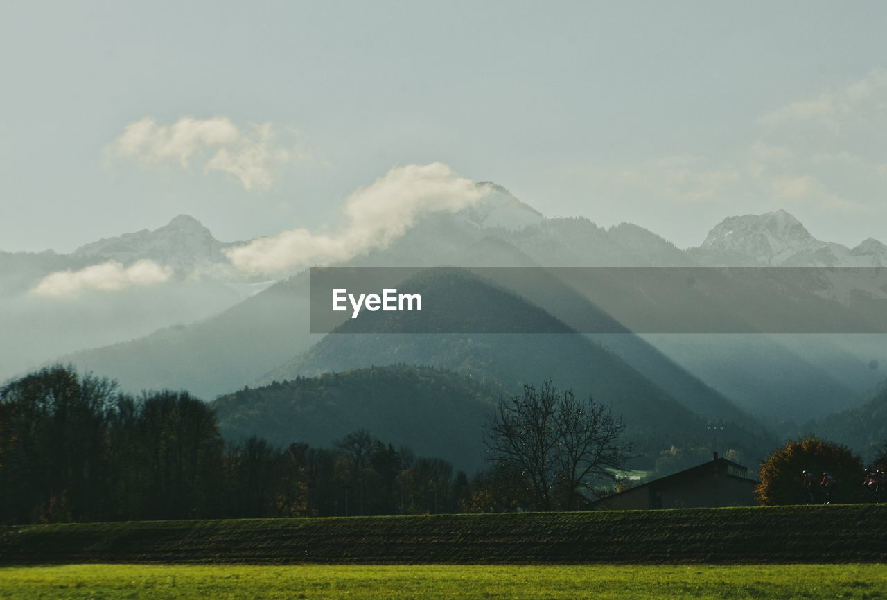 SCENIC VIEW OF TREES AND MOUNTAINS AGAINST SKY