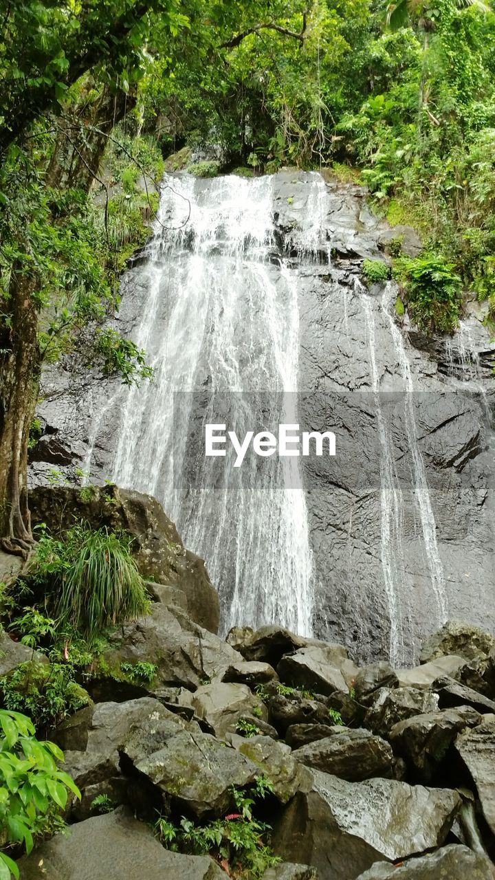 WATERFALL IN FOREST