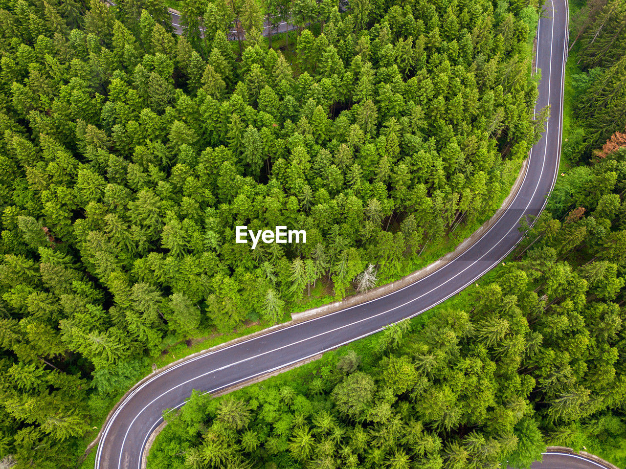 Aerial view of a road in the middle of the forest