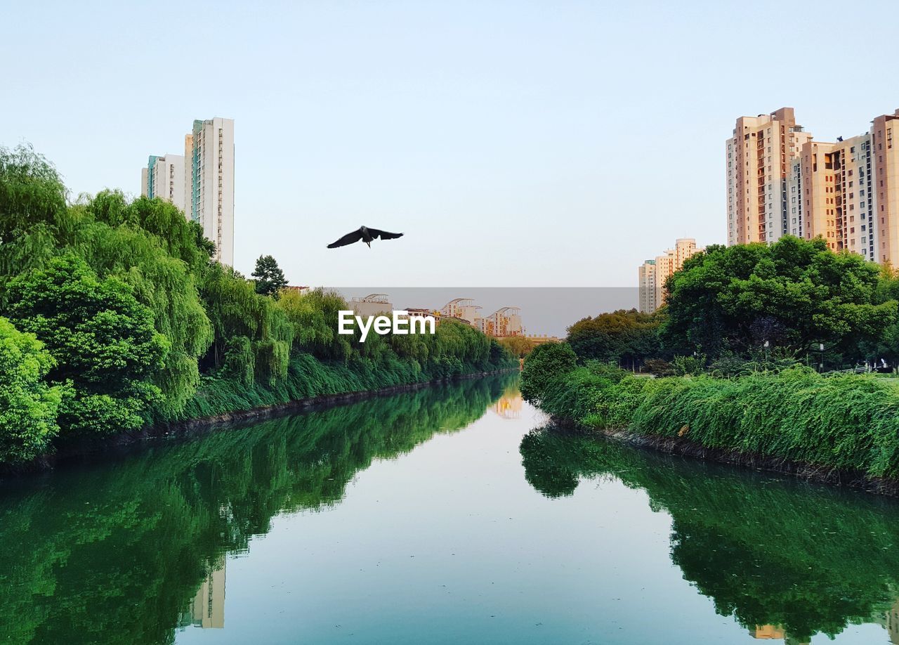 Reflection of plants in river against buildings