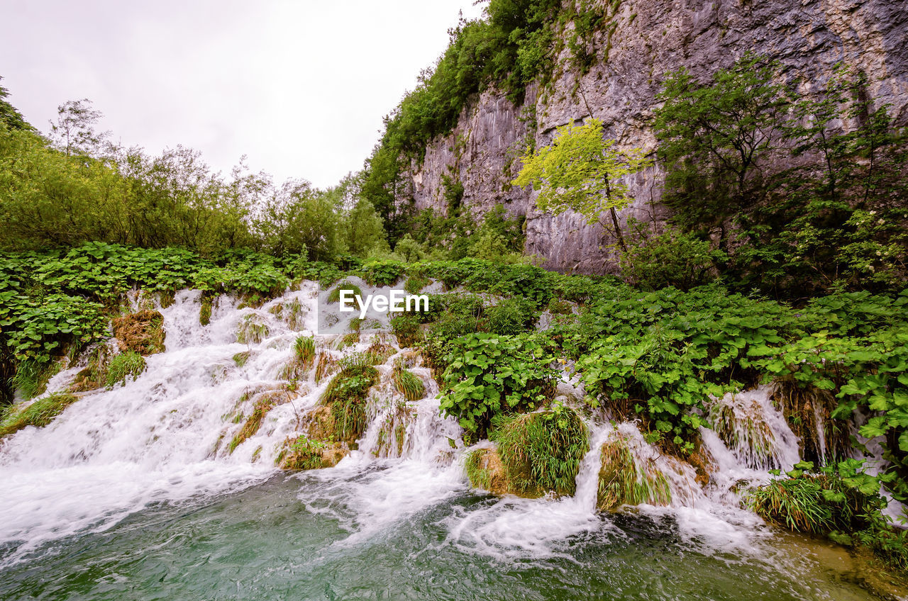 STREAM FLOWING AMIDST ROCKS IN FOREST