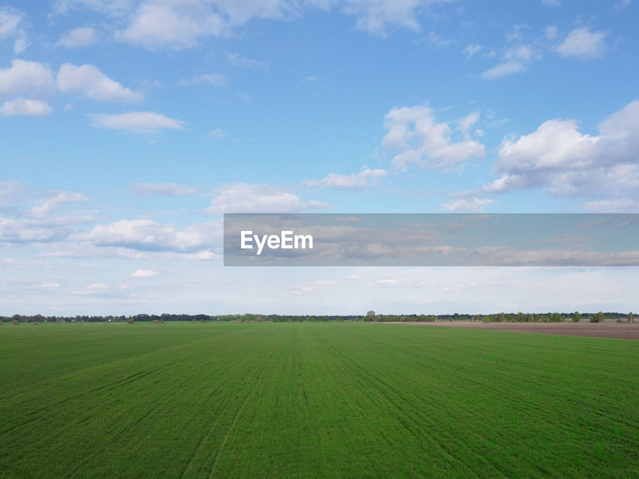 SCENIC VIEW OF FARM FIELD AGAINST SKY