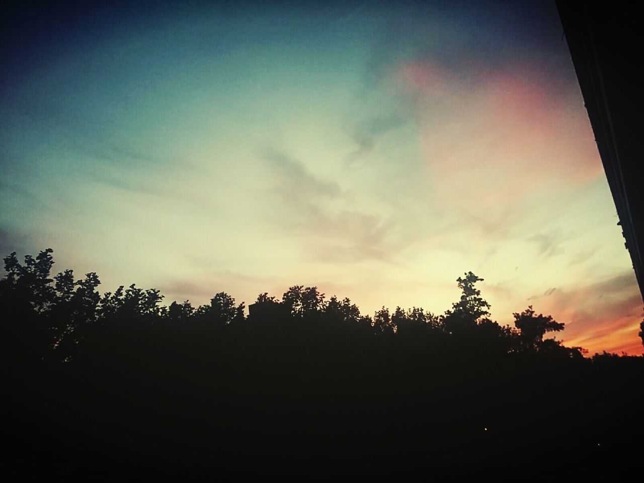 SCENIC VIEW OF SILHOUETTE TREES AGAINST SKY AT SUNSET