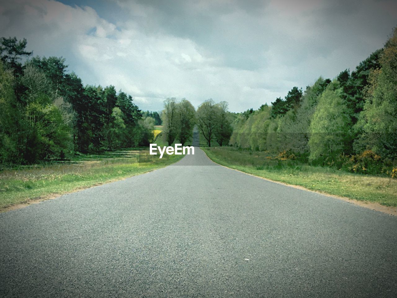 EMPTY ROAD WITH TREES IN FOREGROUND