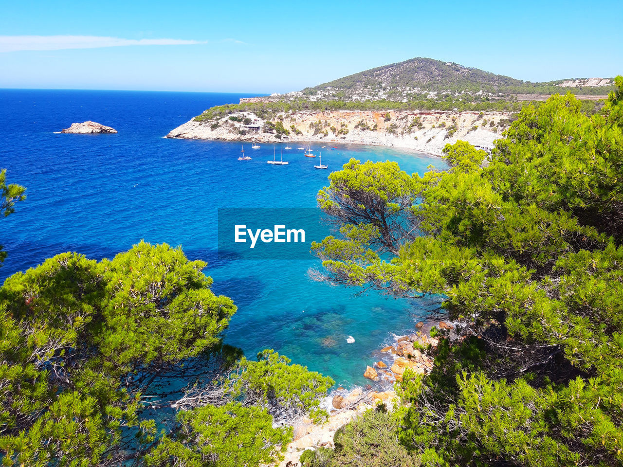Bright colors of the wild nature of the bay of cala d'hort in ibiza in summer in balearic island
