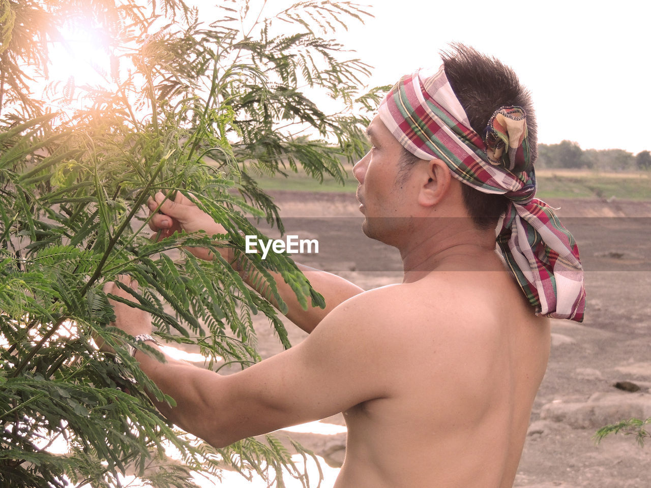 Shirtless man holding tree while standing on land against sky