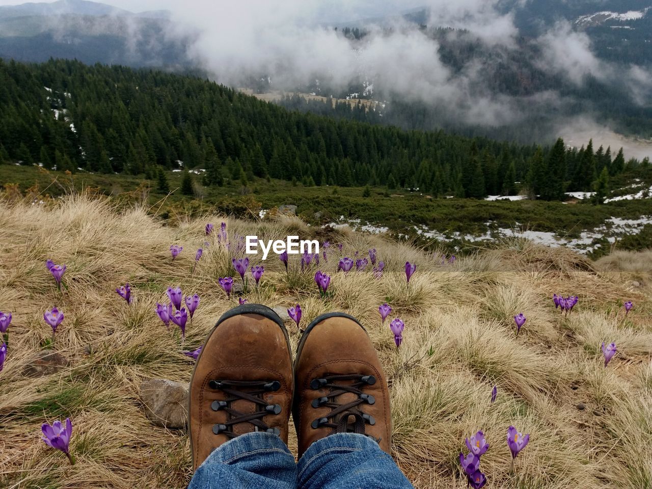 Low section of person wearing shoes while relaxing on field against sky