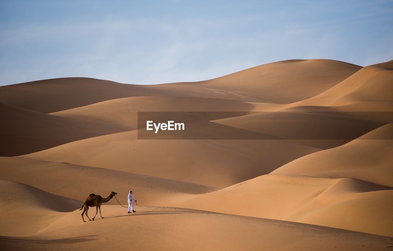 Full length of man with camel in desert