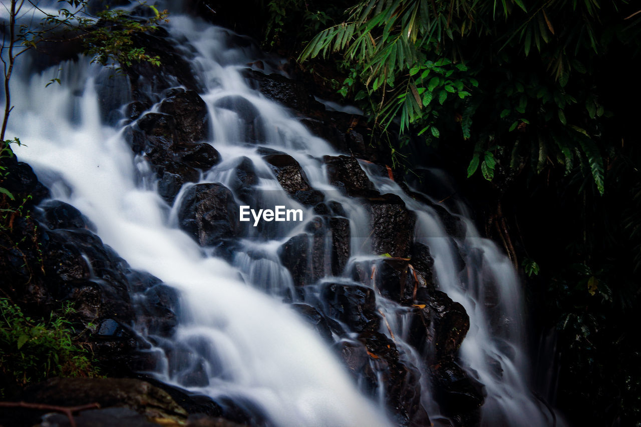 Scenic view of waterfall in forest