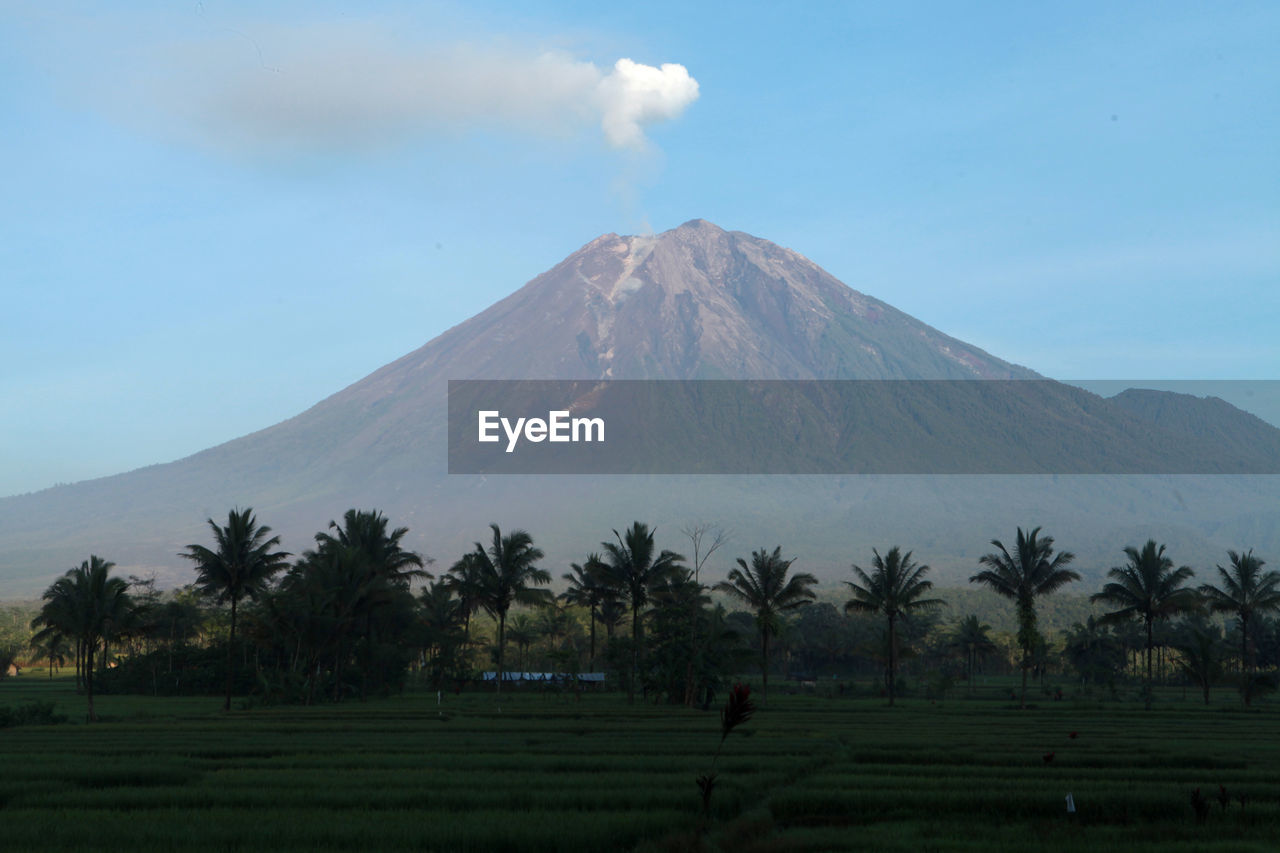 volcano, plain, mountain, landscape, sky, stratovolcano, land, environment, field, plant, scenics - nature, beauty in nature, nature, tree, geology, travel destinations, volcanic landscape, cinder cone, smoke, no people, non-urban scene, grassland, volcanic crater, cloud, plateau, travel, prairie, outdoors, tourism, active volcano, day, erupting, mountain peak, tranquil scene, physical geography, tranquility, lava dome