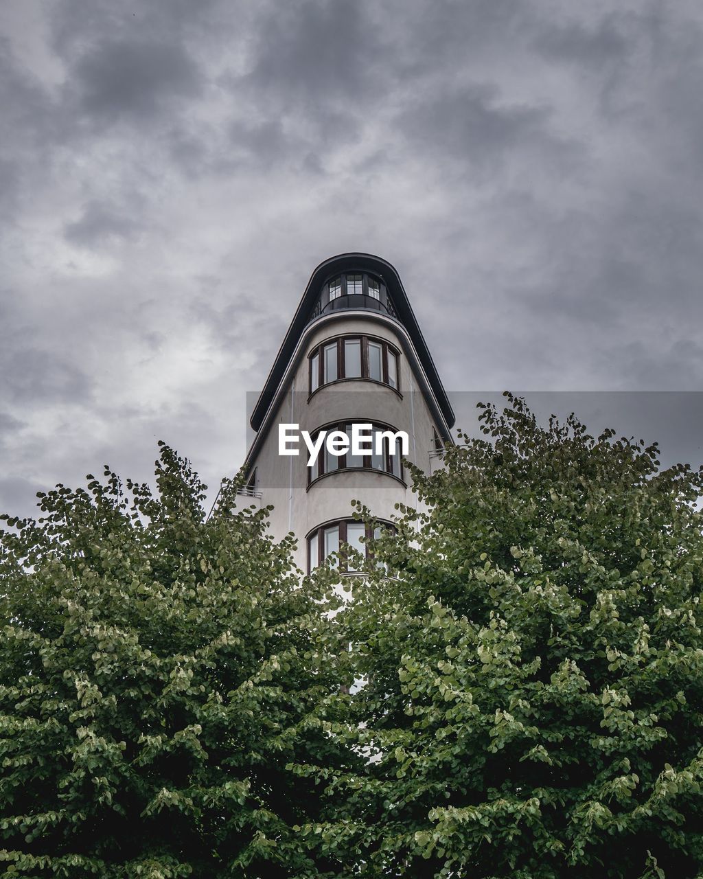 Low angle view of tree by building against sky