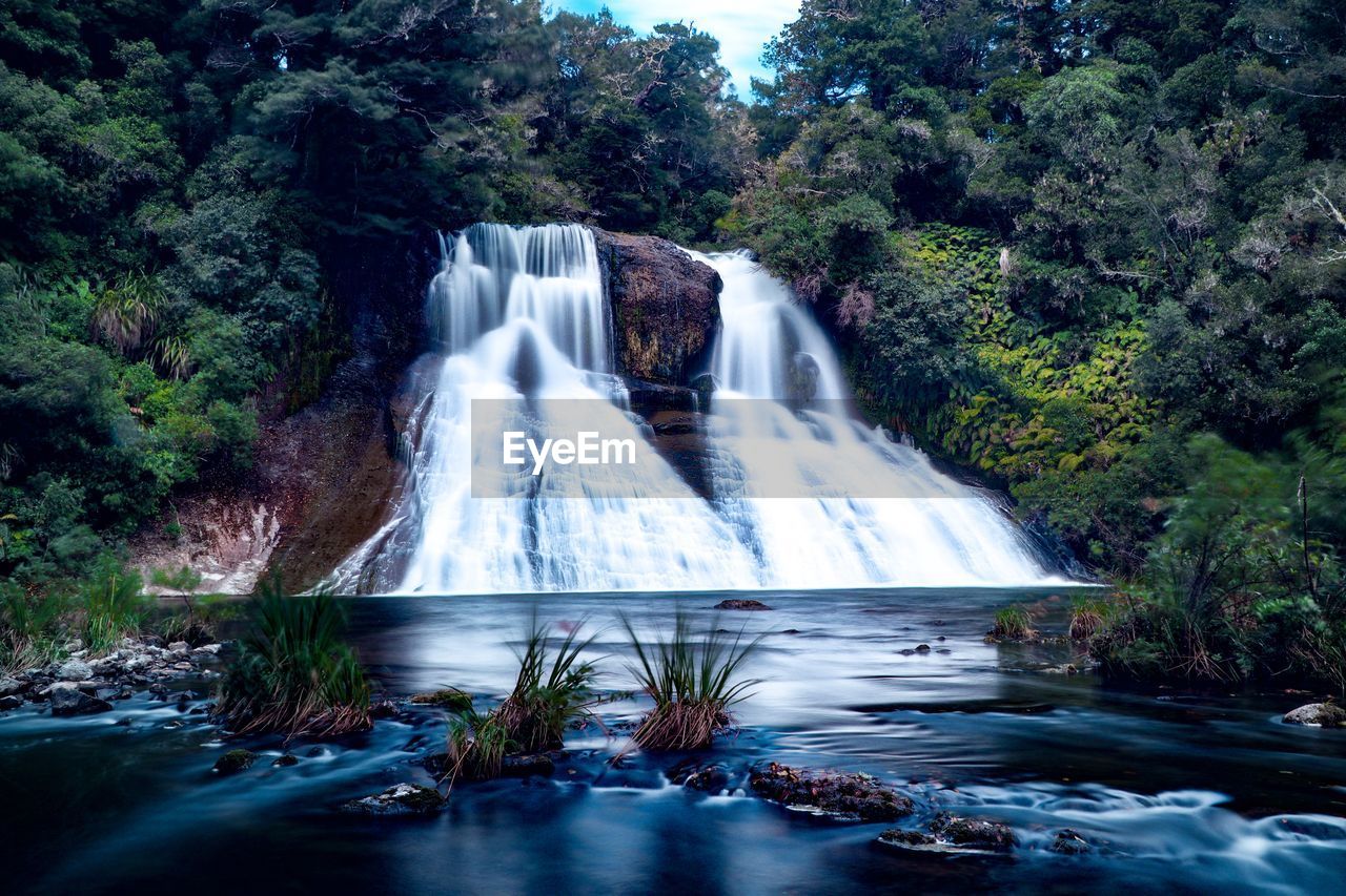 WATERFALL IN A FOREST