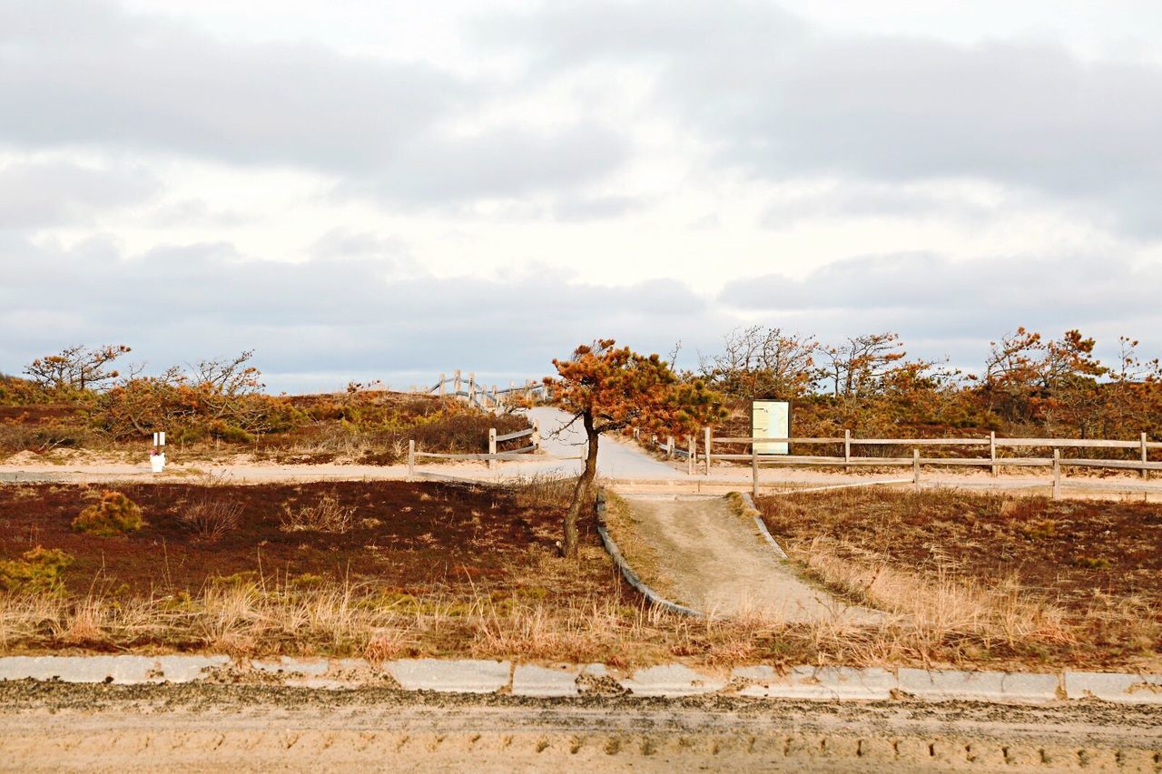 Road on field against sky during autumn