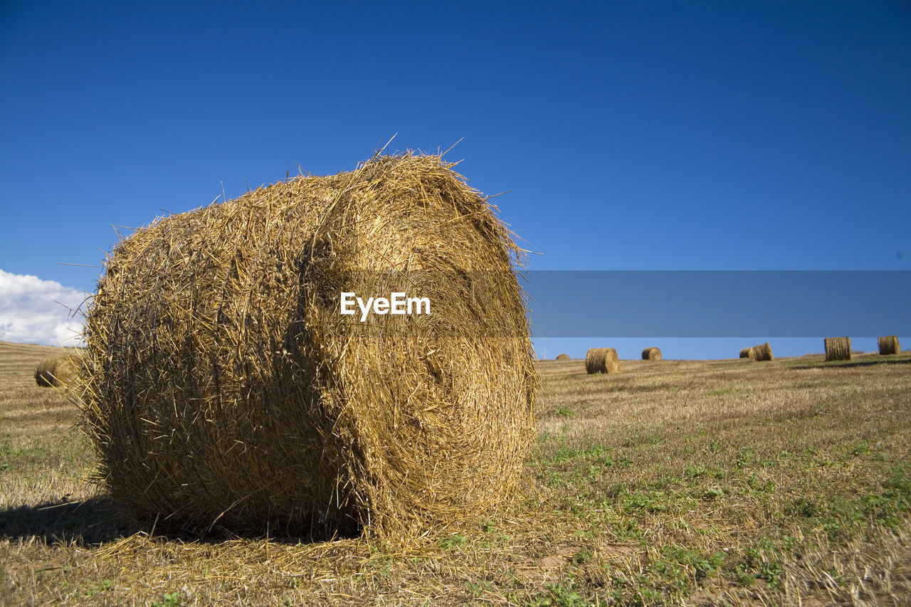 Hay bales on field against sky