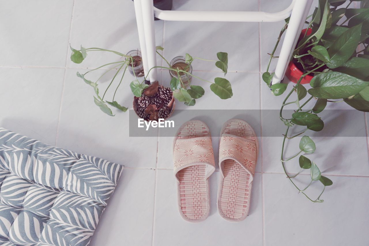 DIRECTLY ABOVE SHOT OF POTTED PLANT ON TABLE