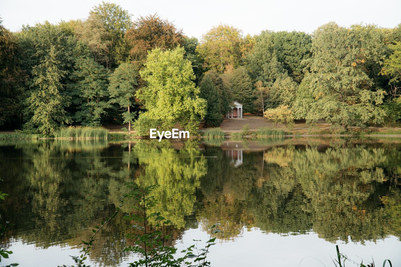 Scenic view of lake by trees against sky