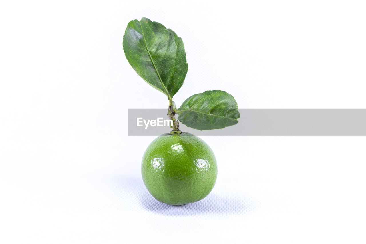 CLOSE-UP OF GREEN FRUIT OVER WHITE BACKGROUND