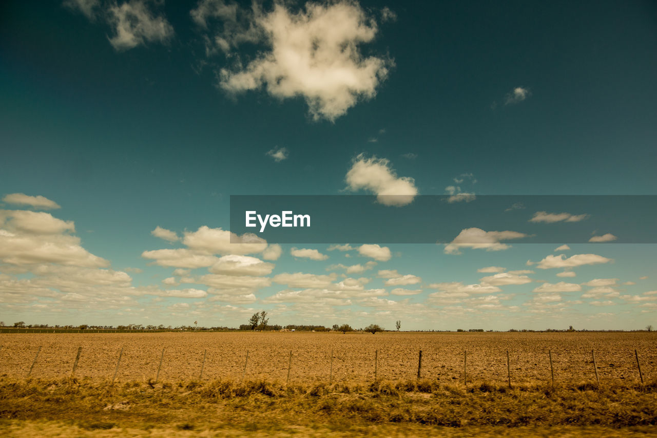 SCENIC VIEW OF RURAL LANDSCAPE