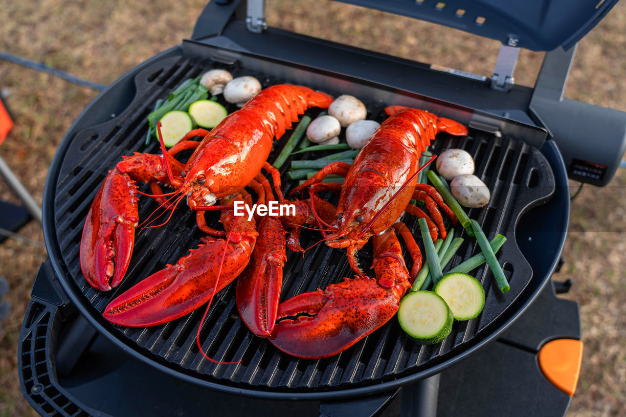 HIGH ANGLE VIEW OF FRUITS IN CONTAINER ON BARBECUE GRILL