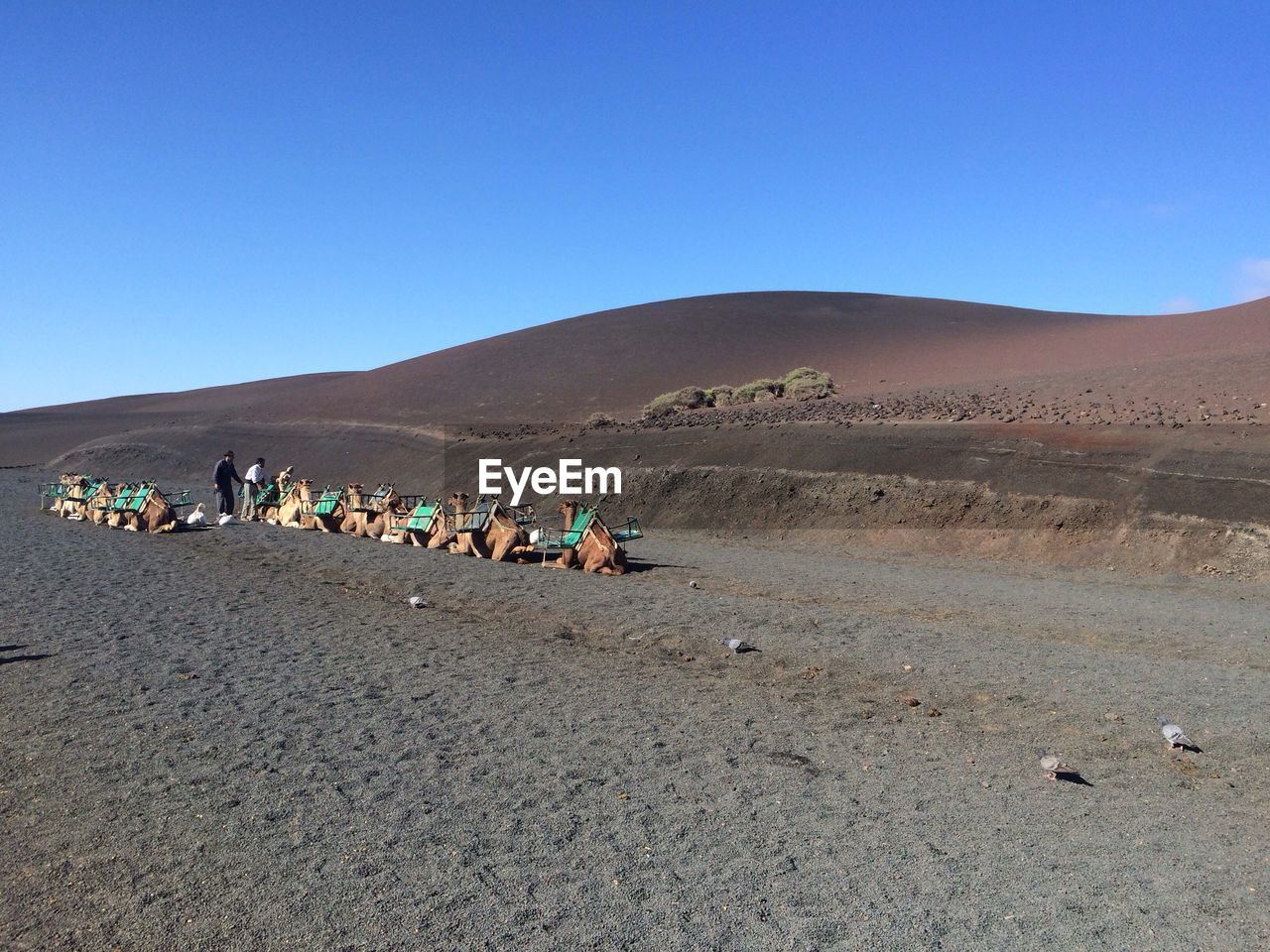 Scenic view of landscape against clear sky