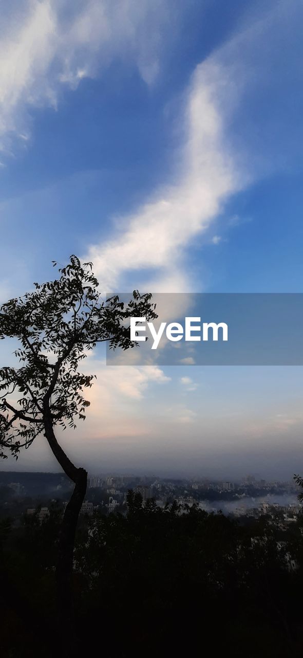 SILHOUETTE TREE BY MOUNTAIN AGAINST SKY DURING SUNSET