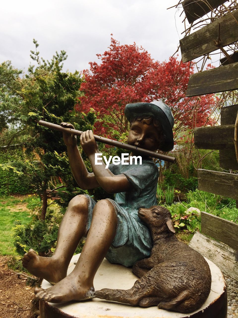 WOMAN SITTING ON TREE AGAINST SKY