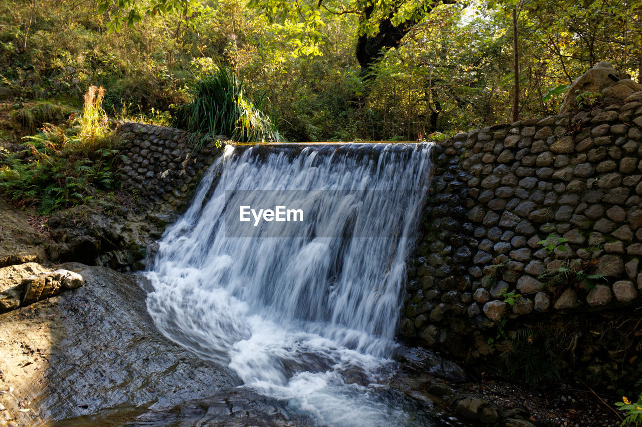 Scenic view of waterfall in forest