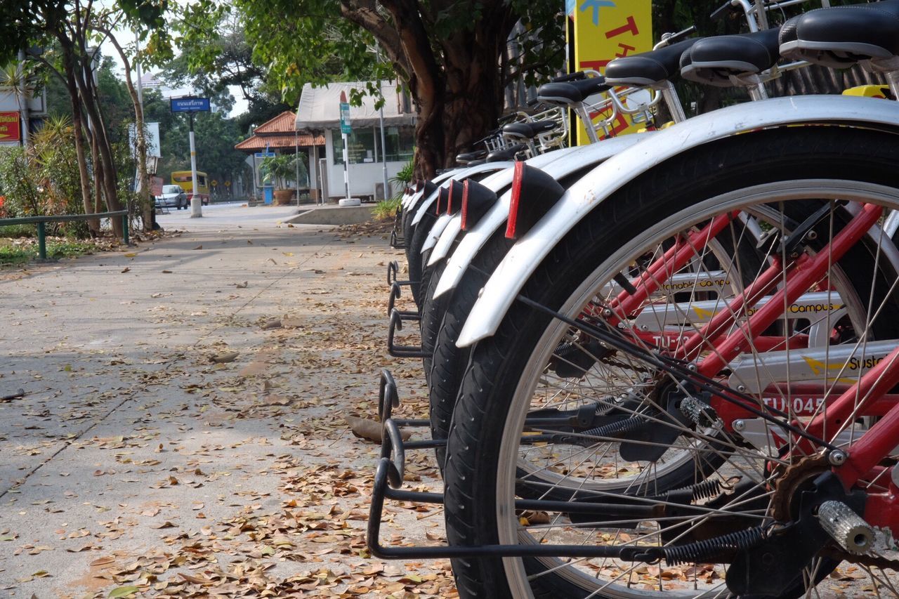 BICYCLE PARKED AGAINST TREE