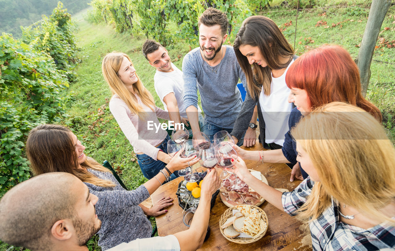 High angle view of friends raising toast while standing at vineyard