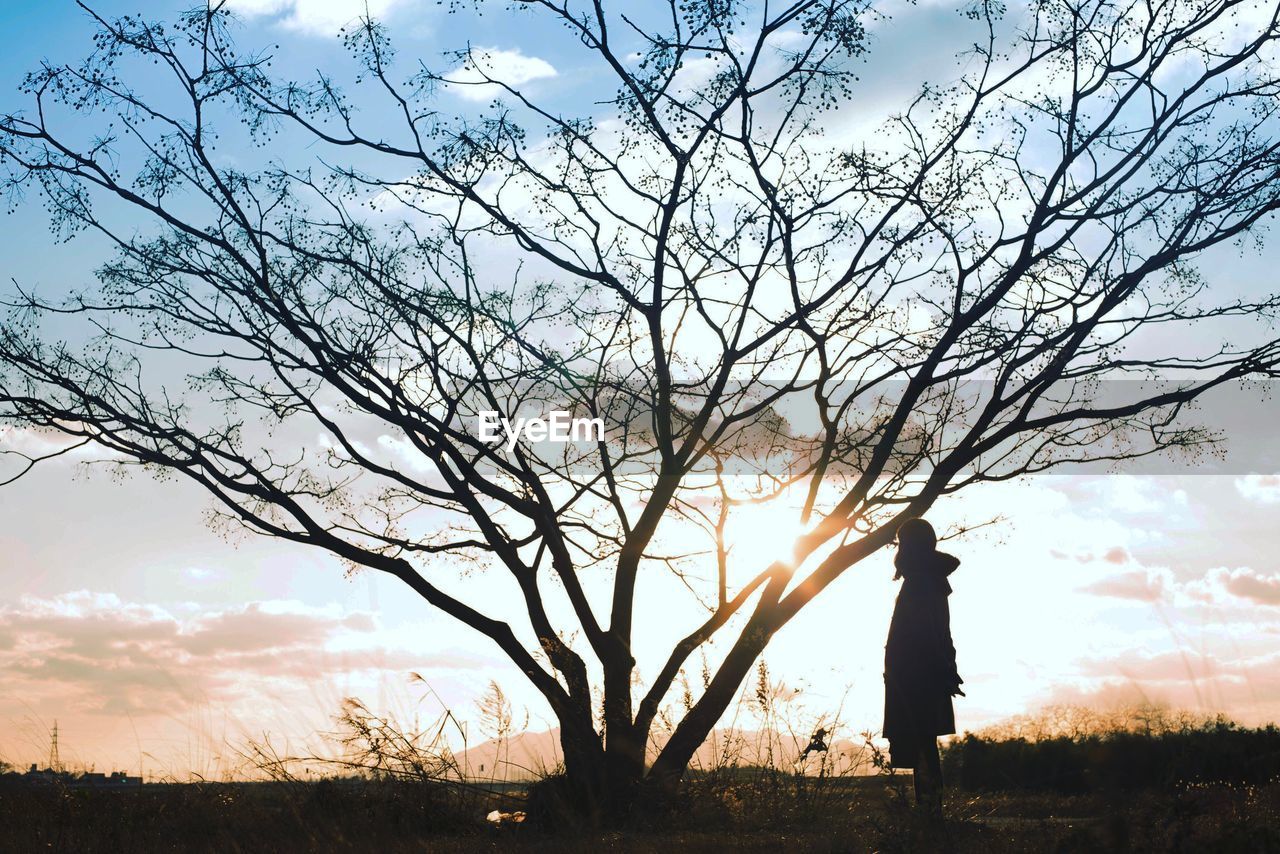 Silhouette tree against sky during sunset