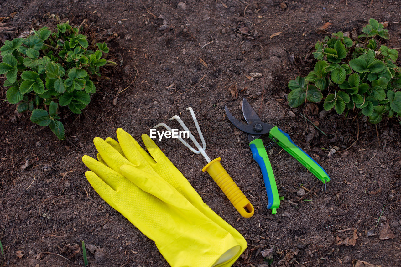 A yellow rake, yellow garden gloves and a green pruner