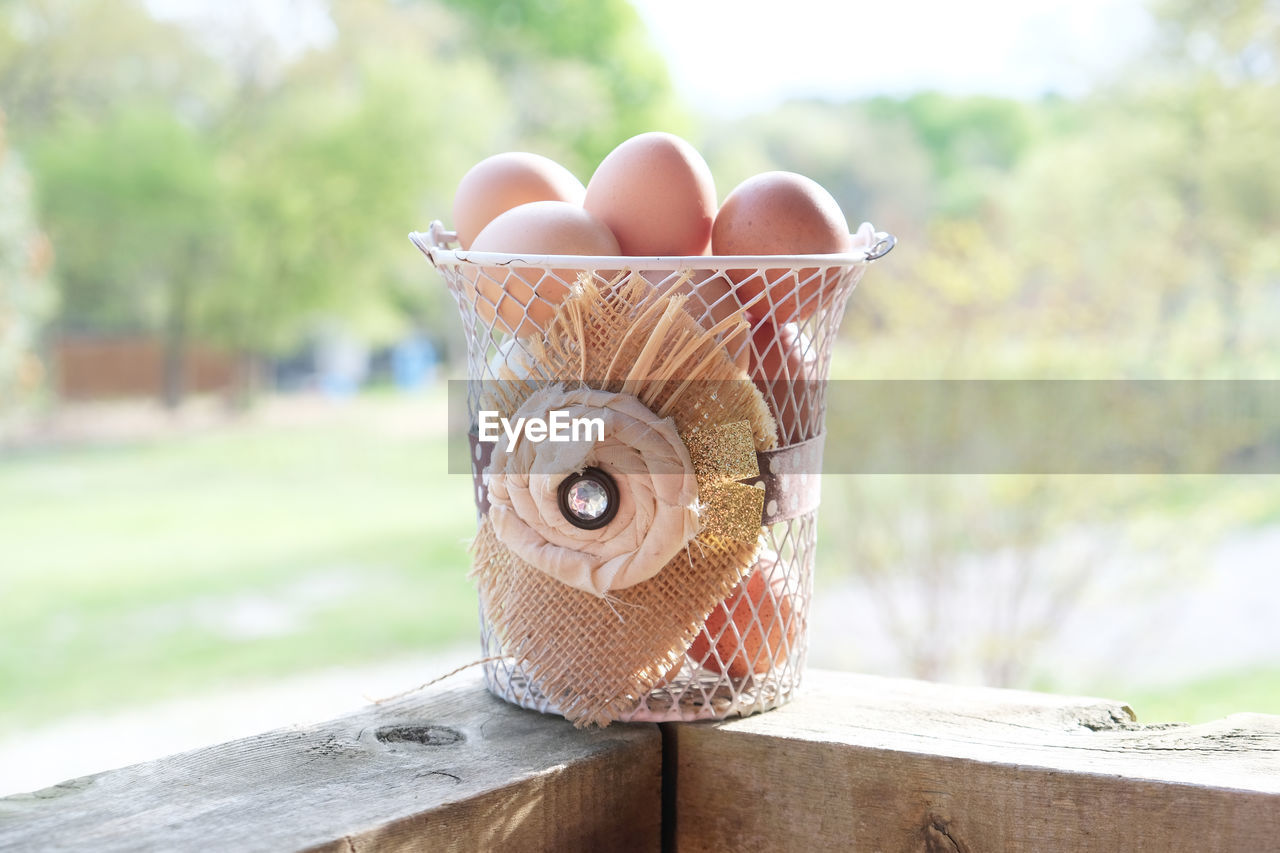 Close-up of eggs in basket on wooden railing