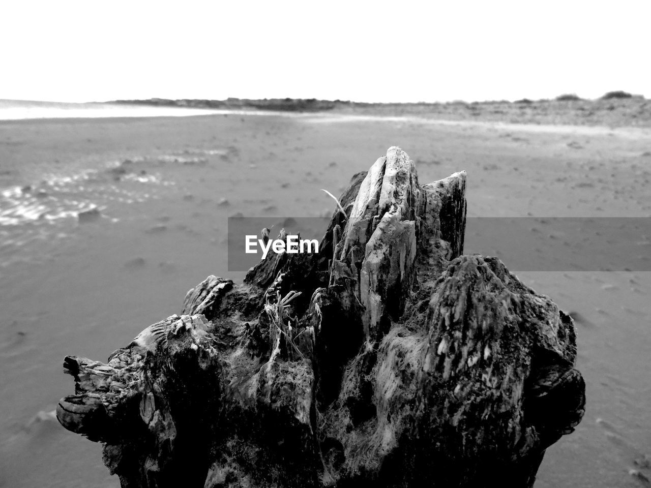 CLOSE-UP OF ROCK ON BEACH AGAINST SKY