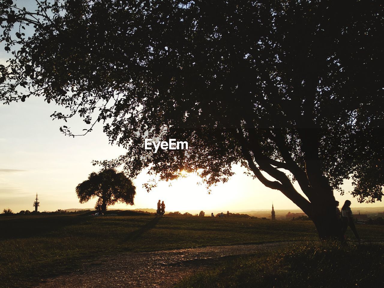 SILHOUETTE OF TREES ON FIELD AGAINST SKY