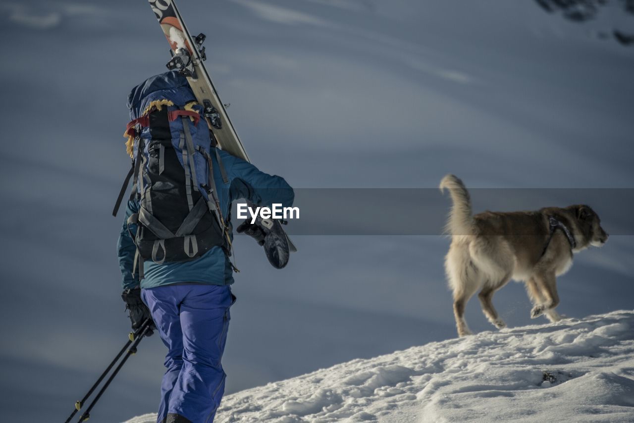 Skier with dog walking on snow covered mountain