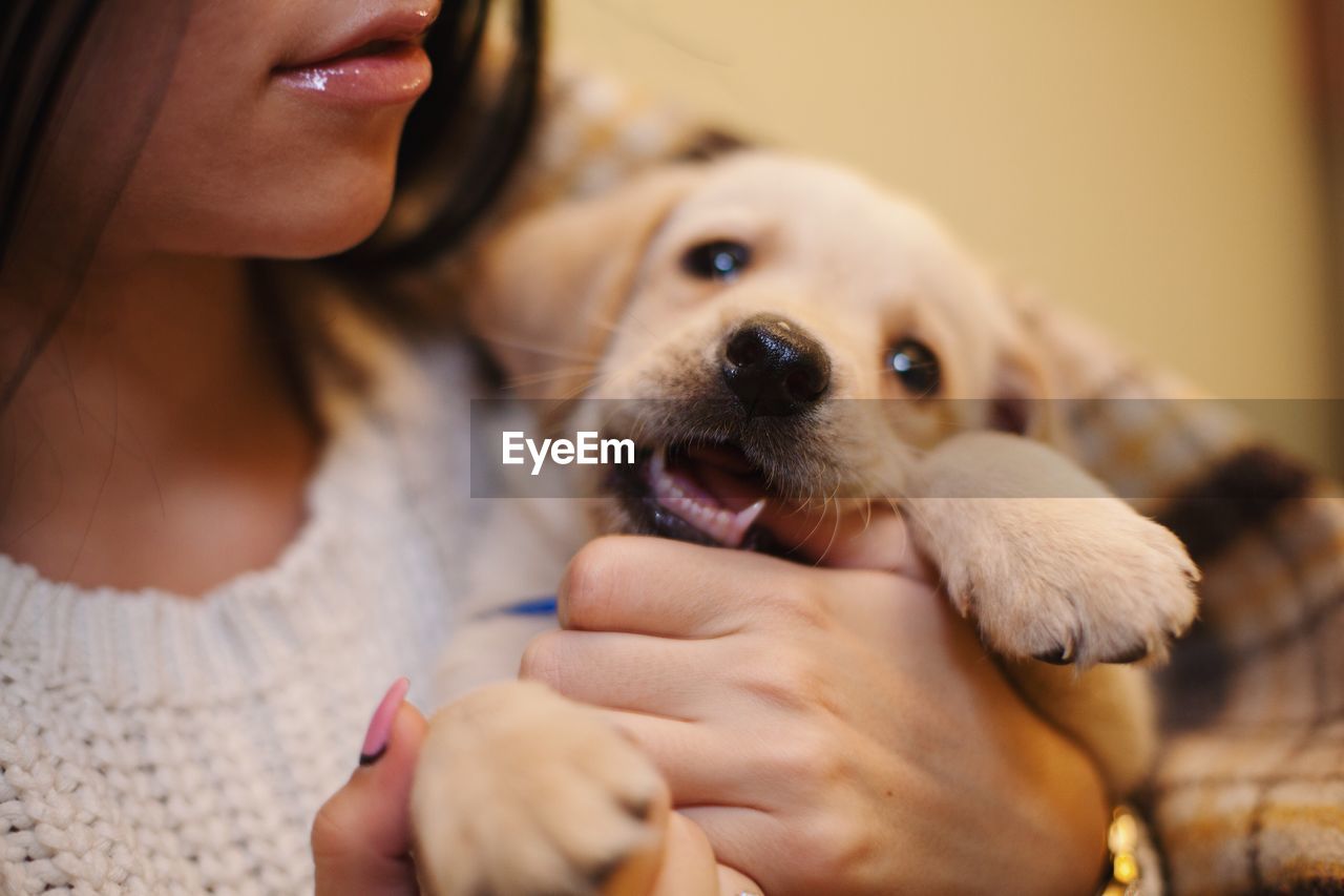 Close-up of woman holding dog