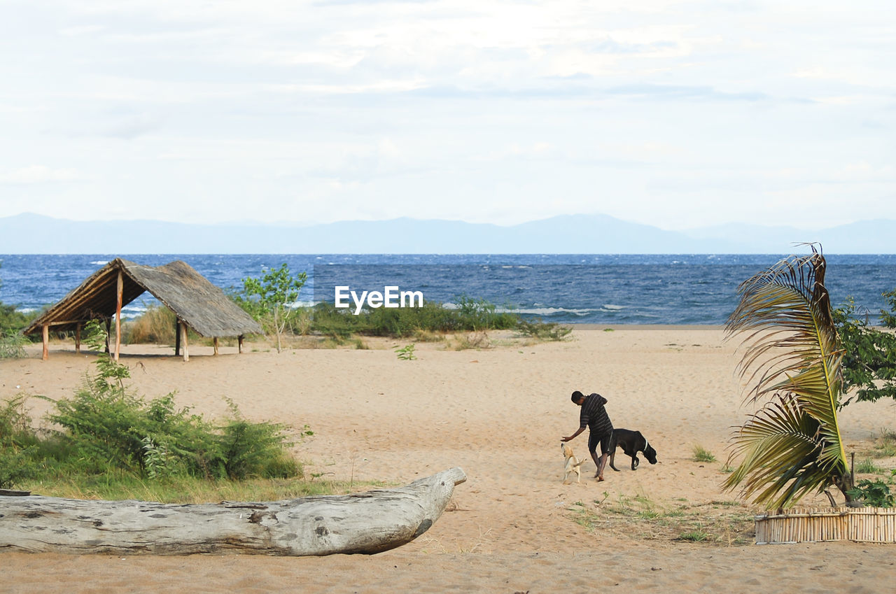 VIEW OF DOG ON BEACH AGAINST SKY