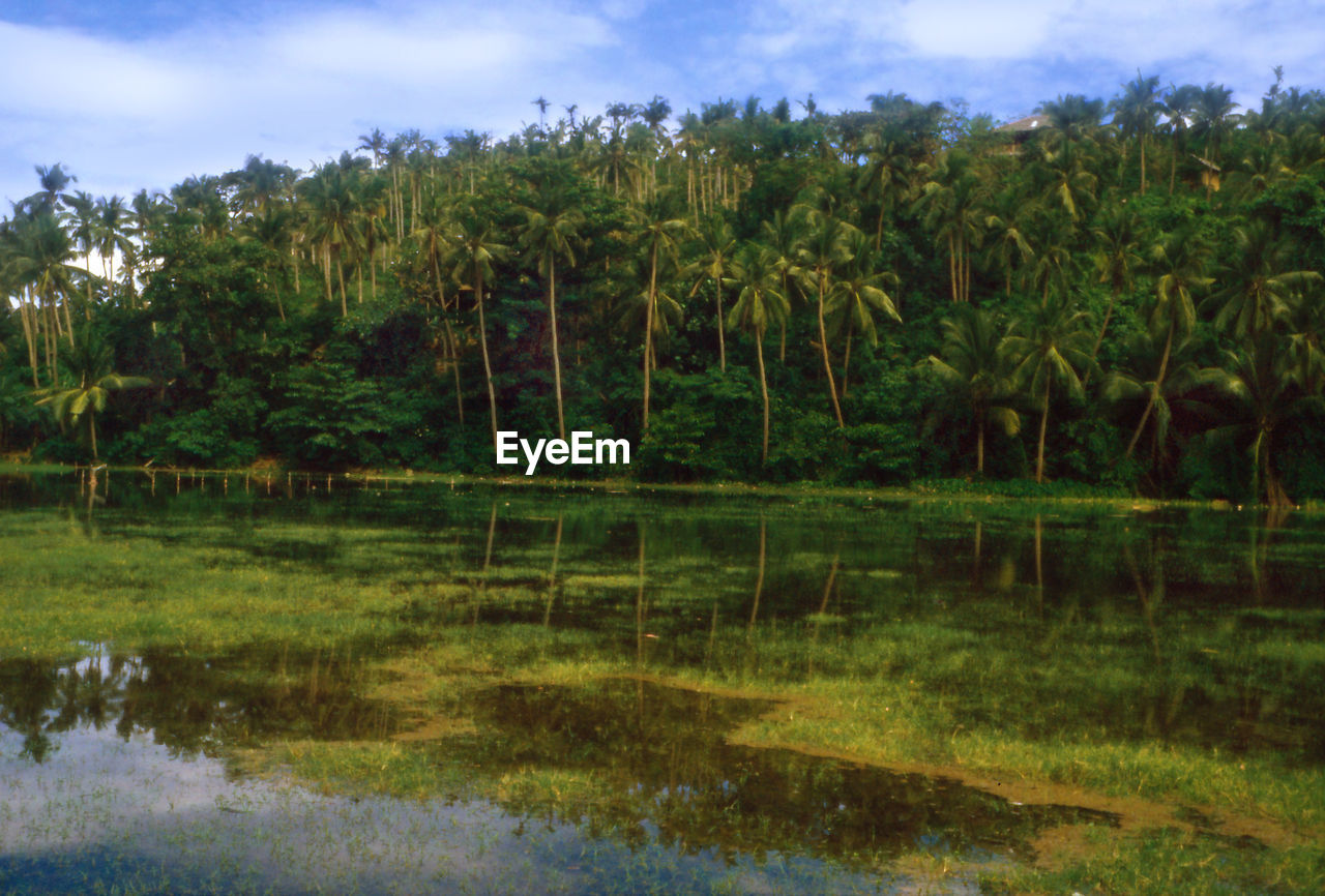 SCENIC VIEW OF LAKE