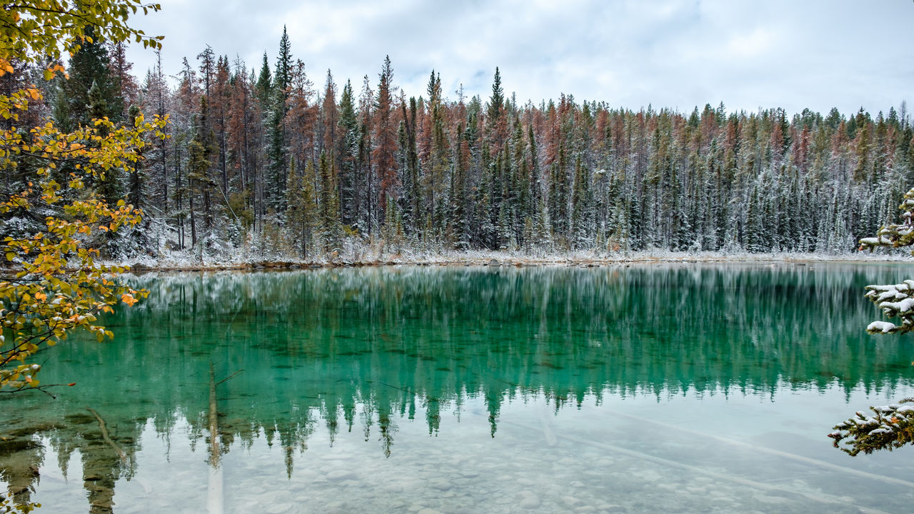 Reflection of trees in lake against sky