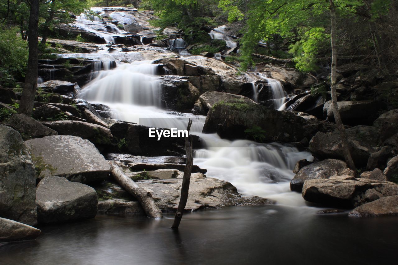 Scenic view of waterfall in forest