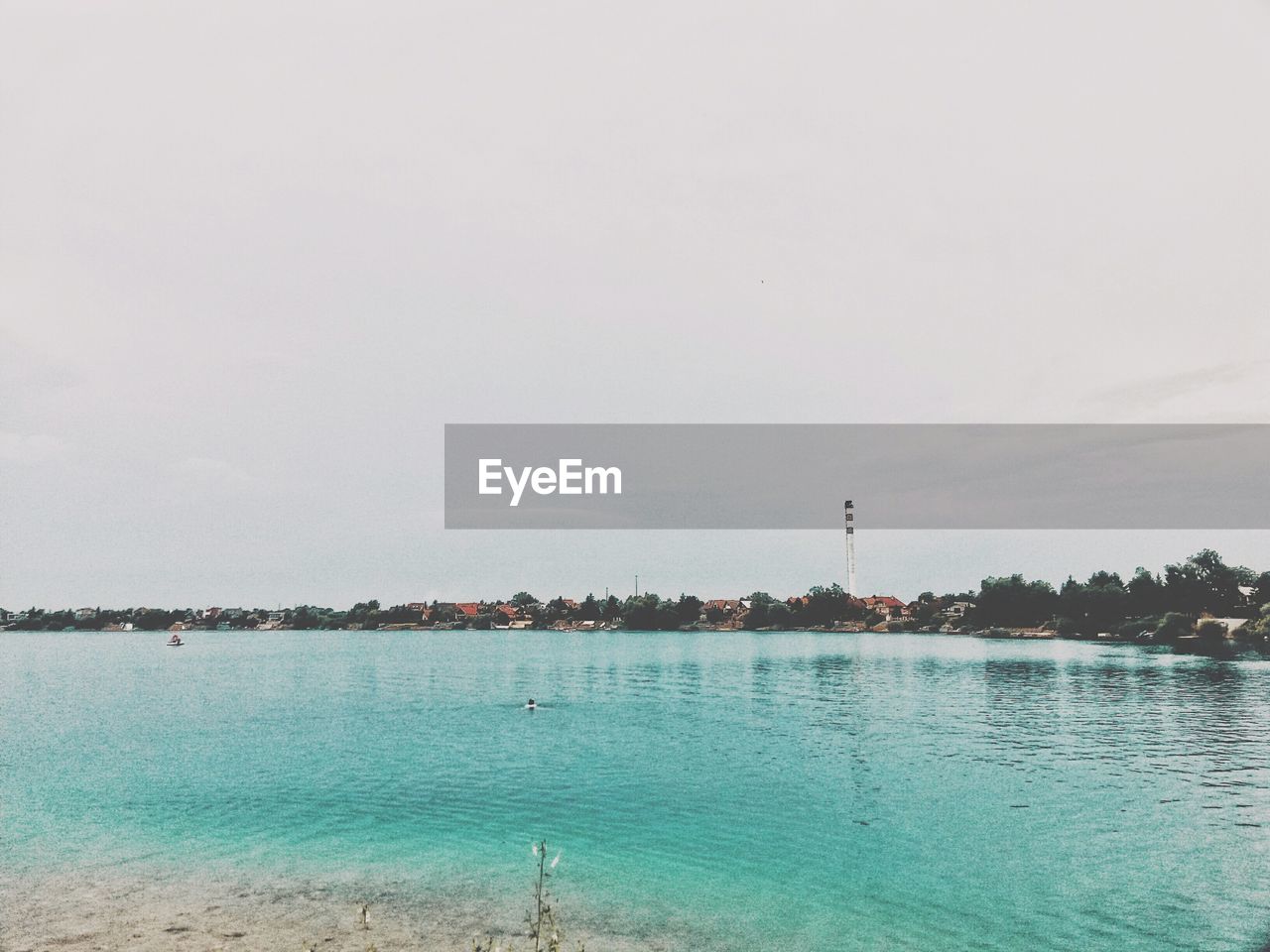 VIEW OF TREES IN WATER