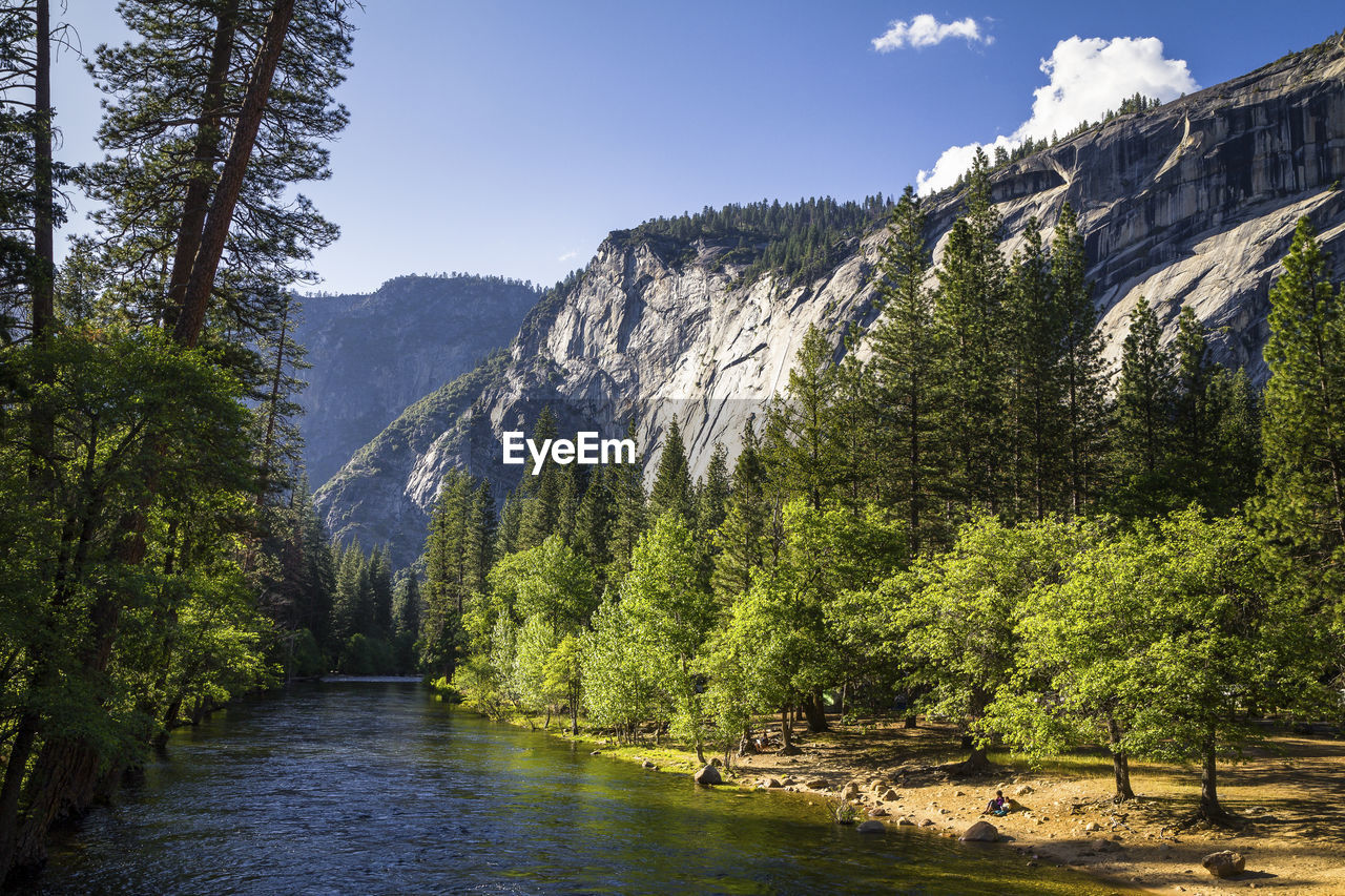 Scenic view of river amidst trees against sky