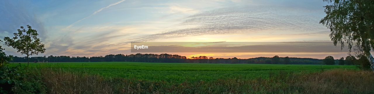 SCENIC VIEW OF FIELD AGAINST SKY AT SUNSET